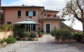 Il Pioppo